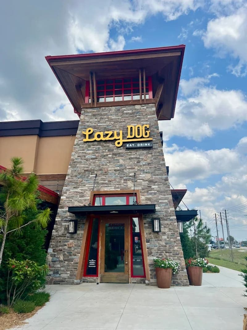 lazy dog restaurant and bar kissimmee