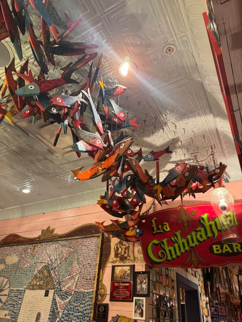 Front desk with colorful fish on the ceiling